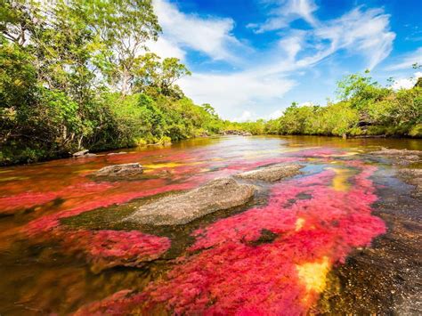  Gardens of Colombia: Where Nature Blooms Between the Pages