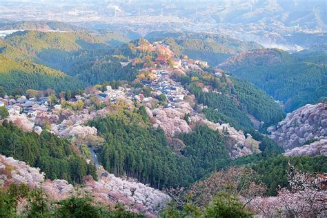 奈良県パート求人：古都の魅力と現代の働き方