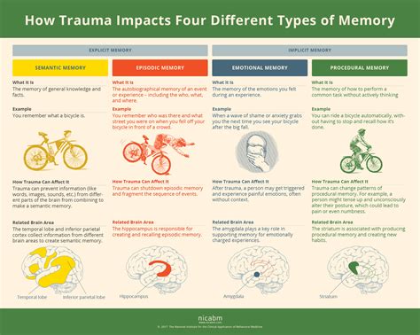 Trauma: A Journey Through Memory and Medicine!